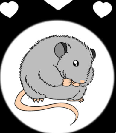 LilRats
